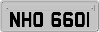 NHO6601