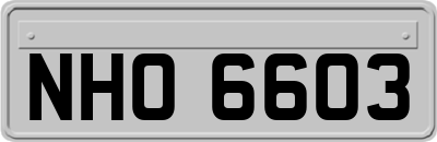 NHO6603
