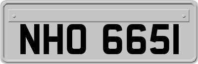 NHO6651
