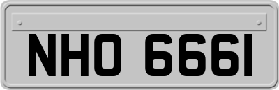 NHO6661