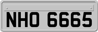 NHO6665