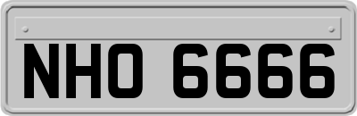 NHO6666