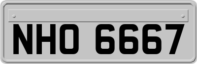 NHO6667