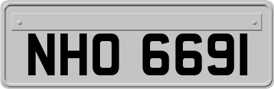 NHO6691