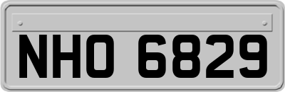 NHO6829