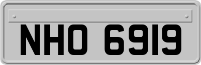 NHO6919