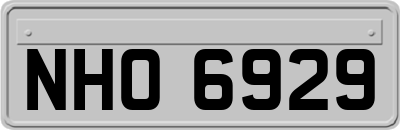 NHO6929