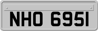 NHO6951