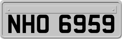 NHO6959
