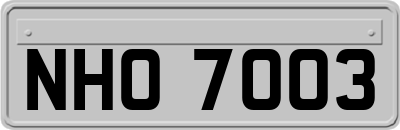 NHO7003