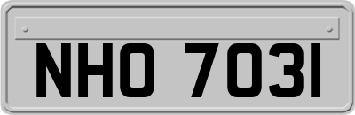 NHO7031