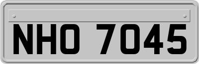 NHO7045
