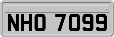 NHO7099