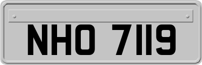 NHO7119