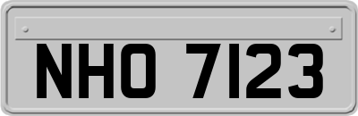 NHO7123