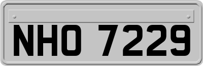 NHO7229