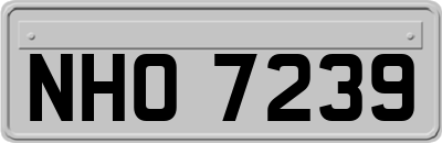 NHO7239
