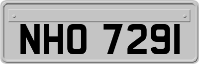 NHO7291