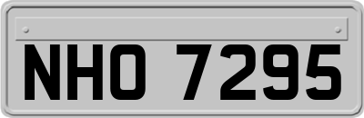 NHO7295