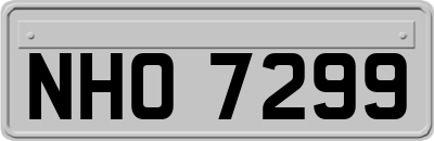 NHO7299