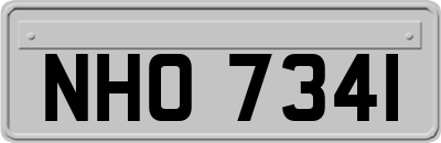 NHO7341