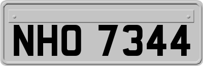 NHO7344