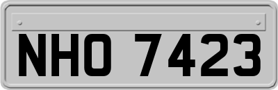 NHO7423