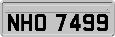 NHO7499