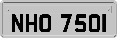 NHO7501