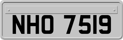 NHO7519