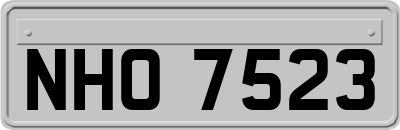 NHO7523
