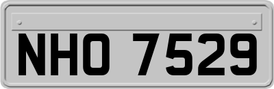 NHO7529