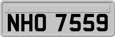 NHO7559