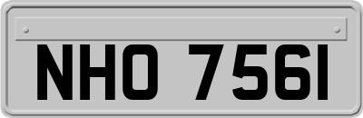 NHO7561
