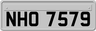 NHO7579