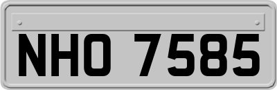 NHO7585