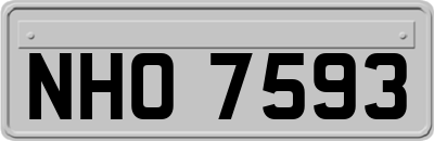 NHO7593
