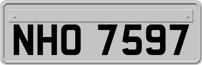 NHO7597