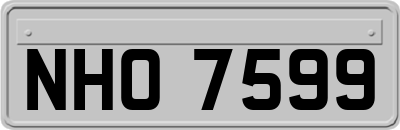 NHO7599