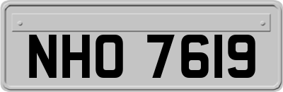 NHO7619