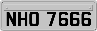 NHO7666
