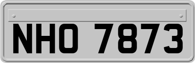 NHO7873