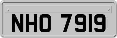 NHO7919