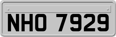 NHO7929