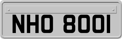 NHO8001