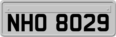 NHO8029