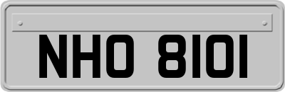 NHO8101