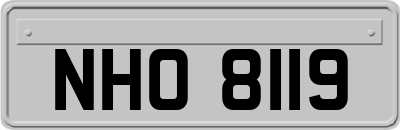 NHO8119