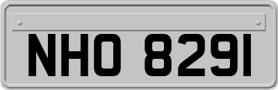 NHO8291