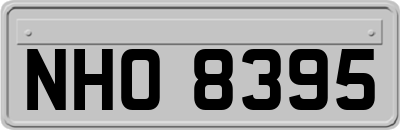 NHO8395